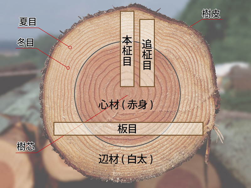 板材の切り出し方図解